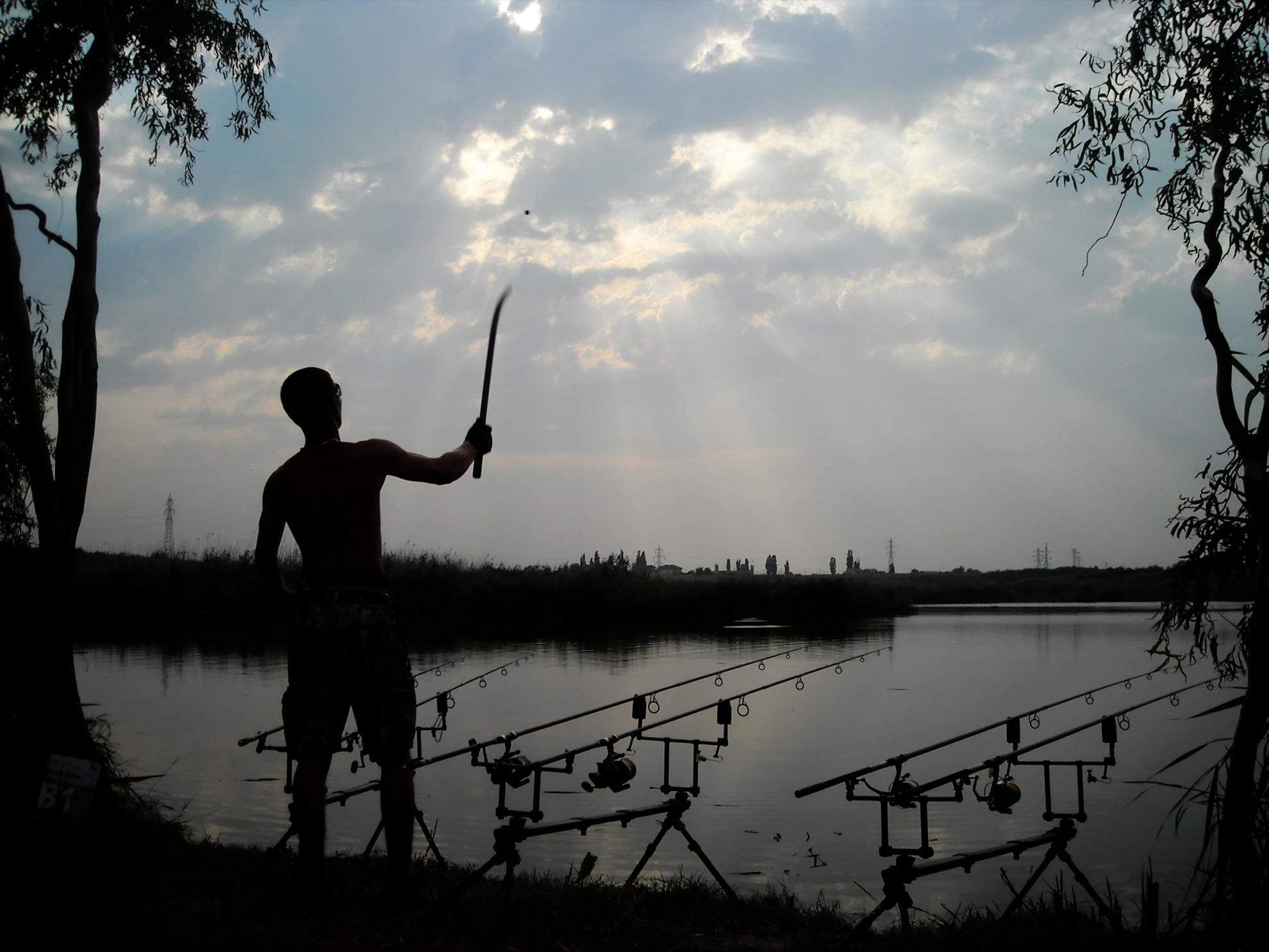 Best-2010 - dscn7432compressor.jpg